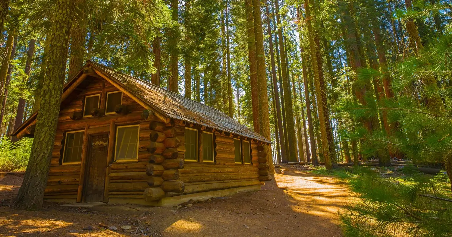 An image of a cabin in the woods.