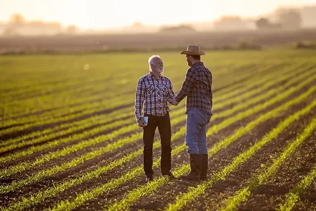 Two farmers shaking hands while standing in a field of plantlings.
