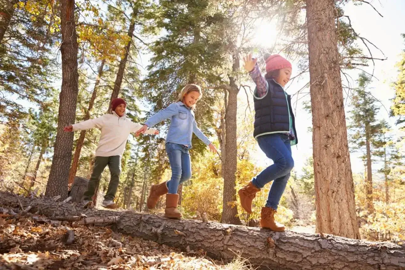 Am image of three children walking on a log in the woods.
