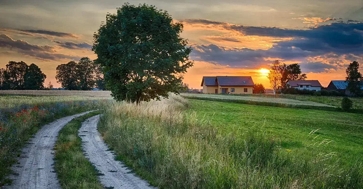 A summer landscape with a dirt road leading through a field to a house.