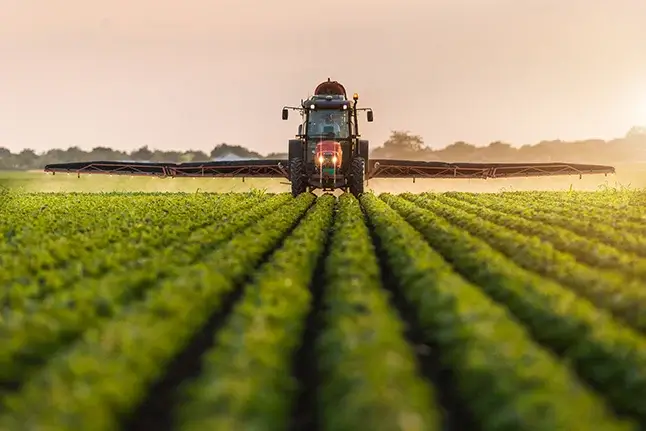 A tractor spraying pesticiedes on a soybean field at sunrise.